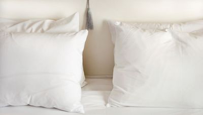 The Pillow That’ll Make You Feel Like You’re on a Permanent Vacation