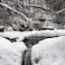 Waterfall Glen Forest Preserve