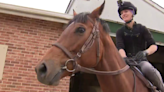 Jockey Forest Boyce, "Queen of Maryland," shines in the male-dominated world of horse racing