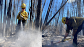 B.C. highway temporarily shut down because of wildfire