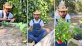 Gardener reveals 4 perfect crops to make your fall garden flourish this year: ‘Alright, now I want to start [growing]’