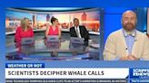 Unlocking the Phonetic Alphabet of Sperm Whales
