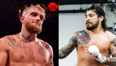 Dillon Danis Trolled by Fans After Announcing USD 50000 Giveaway Offer Over Bold Jake Paul Claim