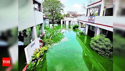 Sewage water floods school in Shantipura, students shifted | Ahmedabad News - Times of India