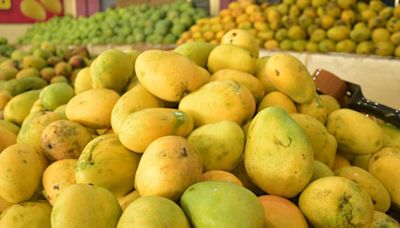 Food Safety officials seize artificially ripened mangoes in Tiruchi