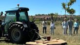 Avanzan las labores de mantenimiento de la Laguna de Torrox