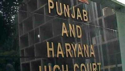 Punjab and Haryana High Court judges weave literary wisdom into legal rulings
