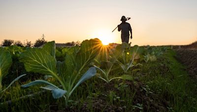 Philip Cobbs Hopes To Preserve History Of Family's 600-Acre Farmland In Virginia