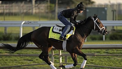 Kentucky Derby looks wide open beyond top two betting choices | Chattanooga Times Free Press