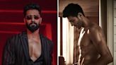 Vicky Kaushal’s Tauba Tauba BTS to shirtless Kartik Aaryan: Top Instagram moments