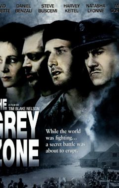 The Grey Zone