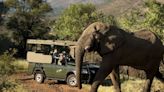 El turista aplastado por un elefante en Sudáfrica, un hombre de 43 años de Zaragoza