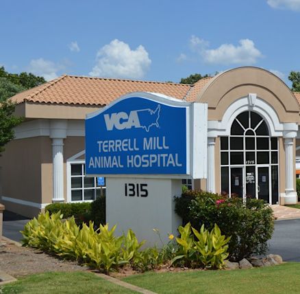 vca mills haven animal hospital