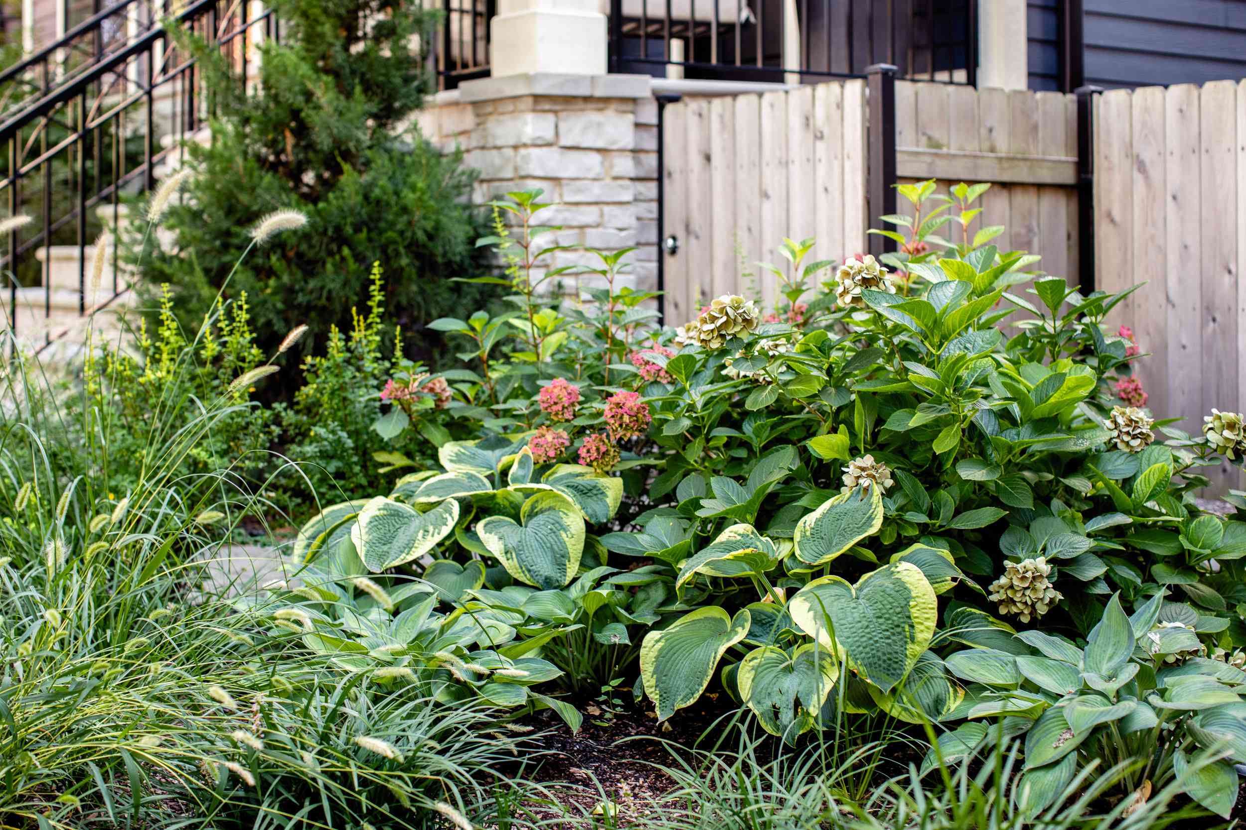 32 Easy Perennials for Shade That Will Bloom All Summer Long