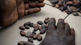 Ivory Coast Bans Some Cocoa Sales in Another Threat to Market
