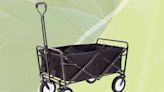 The 9 Best Folding Wagons of 2023, Tested and Reviewed