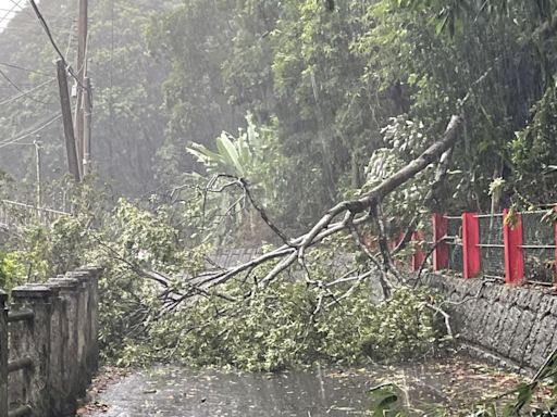 凱米強風豪雨釀災情 彰化2萬5千戶停電