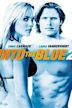Into the Blue 2 – Das goldene Riff