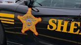 Driver hits patrol car before submerging in Champaign County pond