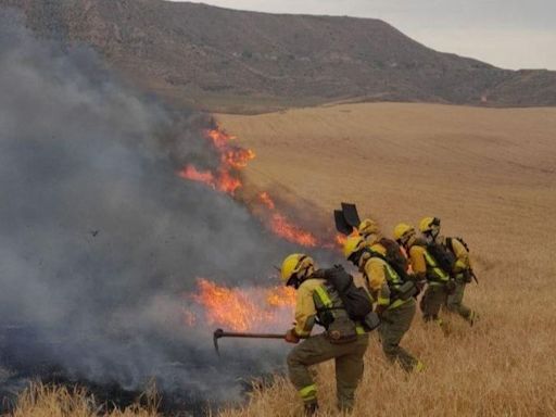 Aparatoso incendio forestal en el Cerro del Viso: el fuego arrasa varias hectáreas y avanza hacia Alcalá de Henares