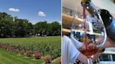 At Saddlehill Winery and Vineyards in South Jersey, local wine, fresh food and "a hometown" feel
