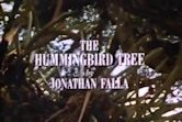 The Hummingbird Tree