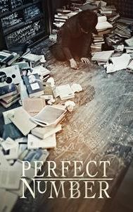 Perfect Number (film)