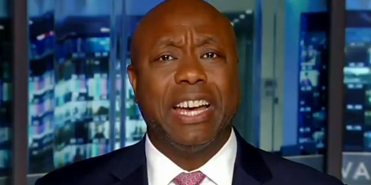 Tim Scott Swiftly Changes Subject After Simple Question About Contraception