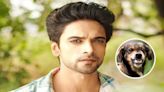 Aakash Ahuja Bitten By A Dog On Badall Pe Paon Hai Set - Exclusive