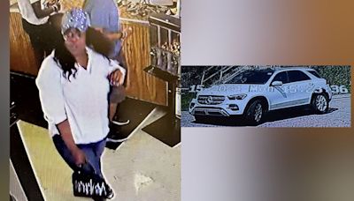 Baton Rouge Police searching for woman who stole from multiple pawn shops