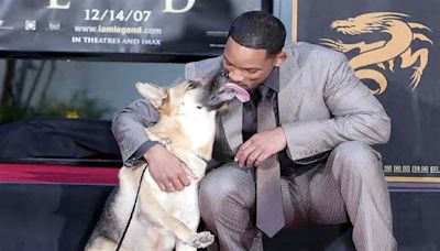 Io Sono Leggenda: Will Smith rende omaggio al cane del film