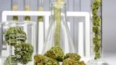 Marijuana ETF Folds Amid Uncertainty About Legal Weed
