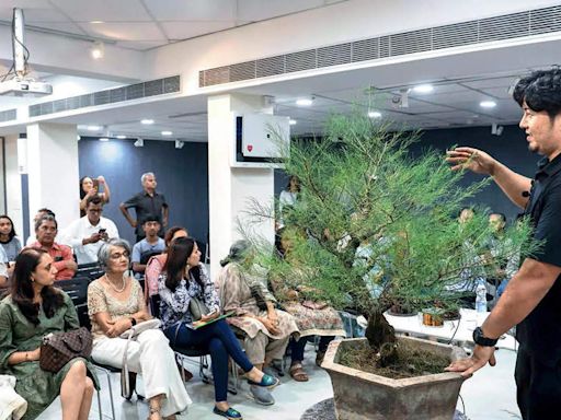 Water, sunshine and love: The perfect recipe for bonsai | Events Movie News - Times of India