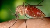 Public Health to spray for West Nile Virus in Centerville, Washington Twp.