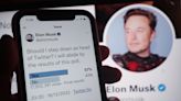 A sink, sackings and ‘hardcore’ working: Elon Musk’s turbulent Twitter reign