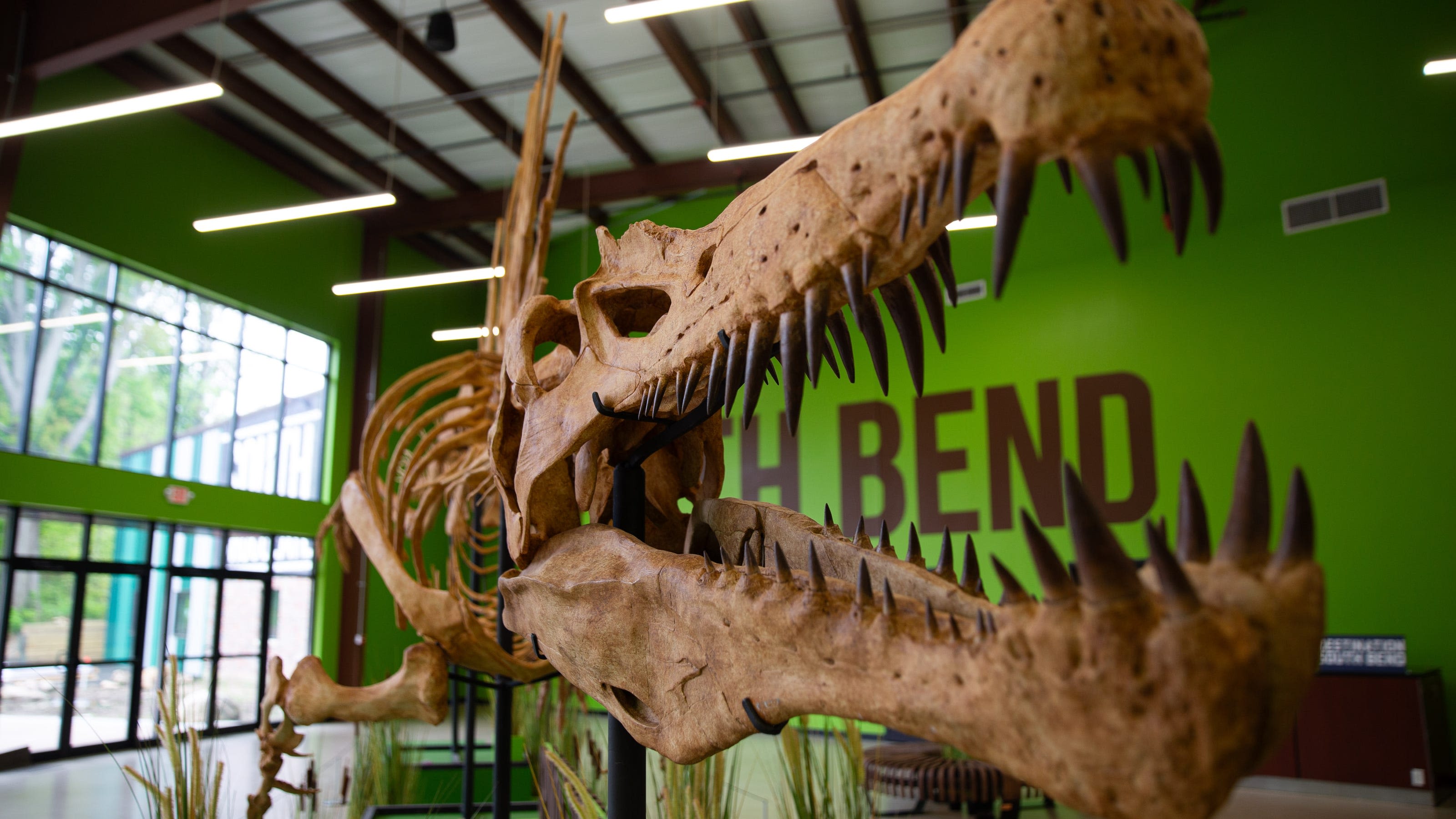 South Bend's Indiana Dinosaur Museum set to open July 12. Here's what you need to know.