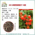 【綠藝家】G81.珍甜蕃茄種子10顆