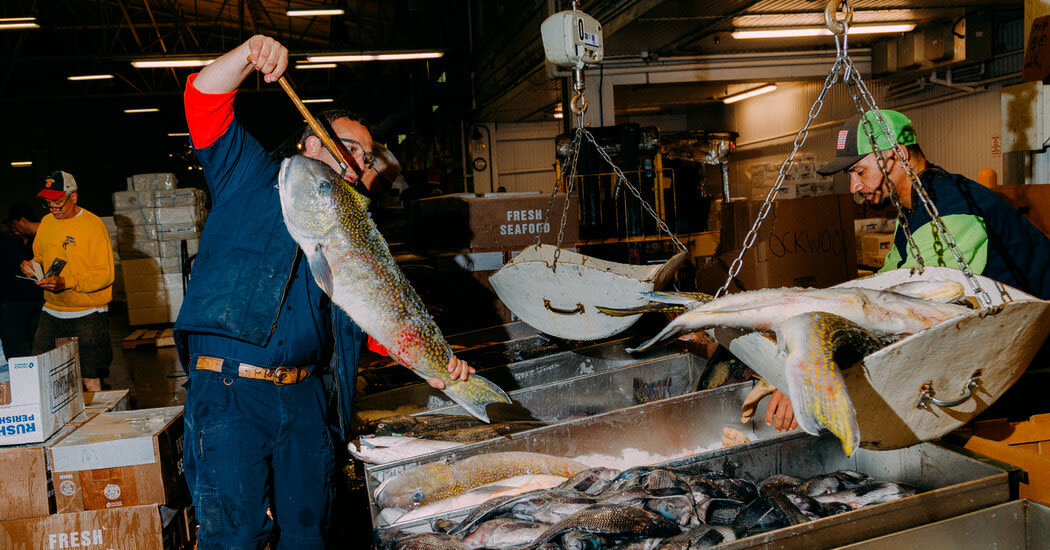 At America’s Biggest Fish Market, 3 A.M. Is Prime Time