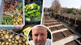 Man turns garden into huge allotment to grow food for needy strangers