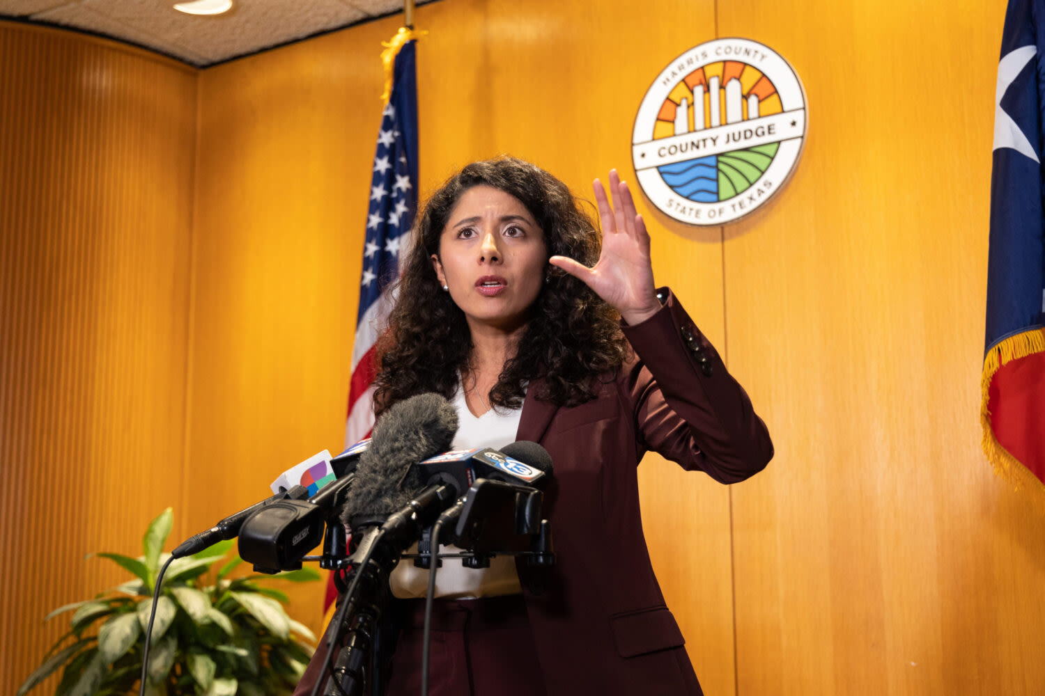 Harris County Judge Lina Hidalgo vs. Annise Parker in 2026 would be ‘very tight race,’ says Houston political expert | Houston Public Media