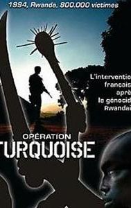 Operation Turquoise