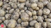 Bengal: Potato dispatches from cold storages surge by 35 per cent a day after traders withdraw strike - The Economic Times