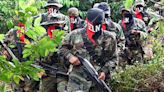 El ELN estaría planeando expandir su actuar criminal a otro país