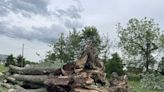 South Lebanon neighbors cleaning up after tornadoes tore through Warren County