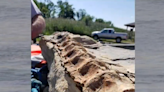 Competitive fisherman pulls 90-million-year-old fossil from the Missouri River