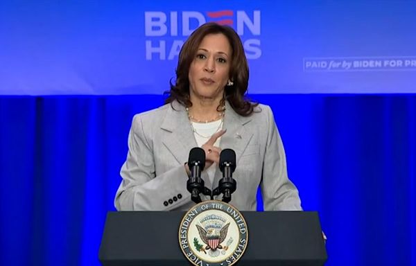 Netanyahu derails Kamala Harris’s best-laid plans in Michigan