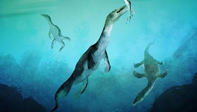 Ancient reptile fossil shines new light on early marine evolution