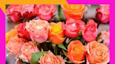 Make Mom smile this Mother’s Day with 24 colorful roses for only $25