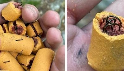 Hiker finds dog treats stuffed with fish hooks