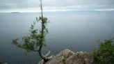 Underwater video reveals private jet that fatally crashed decades ago in Vermont's Lake Champlain